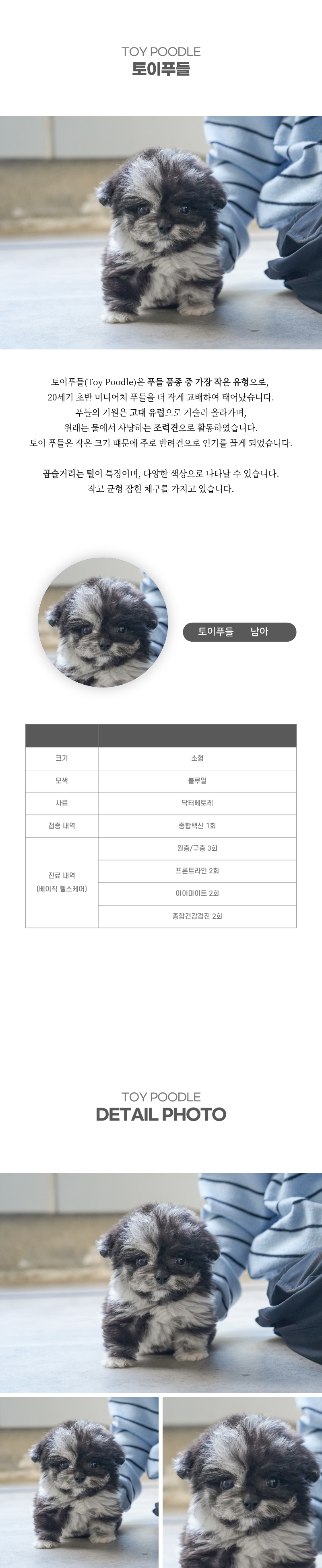 토이푸들_상세이미지_2
